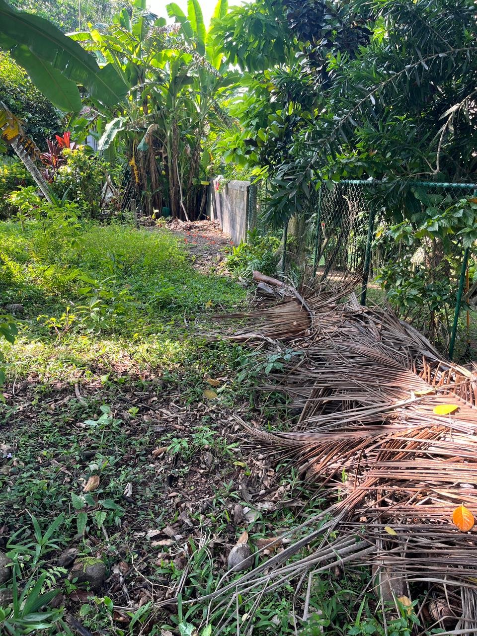 Exclusive Coastal Development Land photo 6